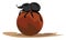 Image of dung beetle, vector or color illustration