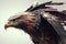 Image of an eagle flaps its wings. Birds. Wildlife Animals. Illustration, generative AI