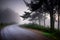 image of an early morning elevated shot of a dirt road winding through overgrown bush.