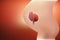 The image of the embryo or the egg in the mother`s womb has a reddish tint. 3D illustration