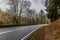 Image of a empty forest road with a curve between trees with dangerous curve signage