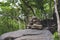 Image of ethnic spiritual stones pyramid in the mystical forest on Sakhalin island.