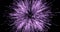 Image of exploding purple fireworks on black background