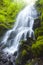 Image of Fairy Falls in Columbia Gorge River