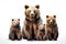 Image of family group of bears on white background. Wildlife Animals. Illustration, Generative AI