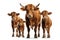 Image of family group of brown bull on white background. Wildlife Animals. Illustration, Generative AI