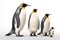 Image of family group of Emperor Penguins on white background. Wildlife Animals. Illustration, Generative AI