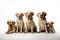 Image of family group of labradors on white background. Pet. Animals. Illustration, Generative AI