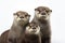 Image of family group of otters on white background. Wildlife Animals. Illustration, Generative AI