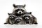 Image of family group of racoons on white background. Wildlife Animals. Illustration, Generative AI