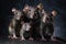 Image of family group of rats on white background. Wildlife Animals. Illustration, Generative AI