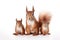 Image of family group of red squirrels on white background. Wildlife Animals. Illustration, Generative AI
