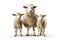 Image of family group of sheeps on white background. Farm animals. Illustration, Generative AI