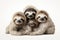 Image of family group of sloths on white background. Wildlife Animals. Illustration, Generative AI
