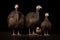 Image of family group of turkeys on black background. Farm animals. Illustration, Generative AI