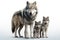 Image of family group of wolfs on white background. Wildlife Animals. Illustration, Generative AI