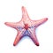 This image features a vibrant starfish with a distinct pattern, digital watercolour on white background, highlighting its