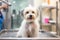 An image featuring a professional groomer expertly washing a dog in a professional grooming salon, emphasizing the quality and