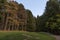 Image of forest in the autumn period, a side road plunges into the forest