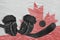 Image of a fragment of the Canadian flag on ice and hockey accessories