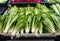 An image of fresh endive leaves on the market stall.