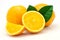 The image `Fresh oranges` on the white background.