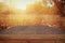 image of front rustic wood boards and background of fall leaves in forest