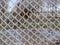 Image of frozen barbed wire in the winter