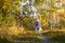 Image of funny dog breed Siberian husky running on the path in the bright fall forest