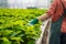 Image of gardener checking on plants