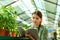 Image of gardener studying or checking plants in conservatory