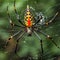 Image of giant golden orb-weaver spider on a cobweb. Insect. Illustration, Generative AI