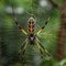 Image of giant golden orb-weaver spider on a cobweb. Insect. Illustration, Generative AI