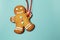 Image of Gingerbread man on green background