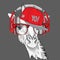 The image of the giraffe in the glasses, headphones and in hip-hop hat. Vector illustration.