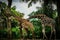 Image of Giraffe in Jungle Singapore