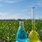 Image of a glass flask with a chemical solution on the background of young shoots of wheat