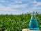 Image of a glass flask with a chemical solution on the background of young shoots of wheat