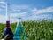 Image of a glass flask with a chemical solution on the background of young shoots of wheat