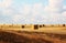 Image of gold wheat haystacks field and blue sky.