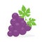 Image Grape Vector Design Cartoon