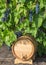 Image of grapes on a barrel