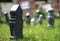 Is an image of a graveyard, featuring a variety of gravestones