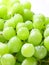 Image of green grape background