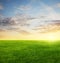 Image of green grass field and evening cloudy sky