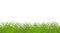 Image of green realistic grass. Profile view. Lawn. illustration