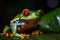 image of green tree frog. Amphibian. Illustration. Generative AI