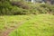 Image of a greenness hiking path