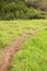 Image of a greenness hiking path