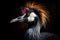 Image of grey crowned crane head. Birds. Wildlife Animals. Illustration. Generative AI